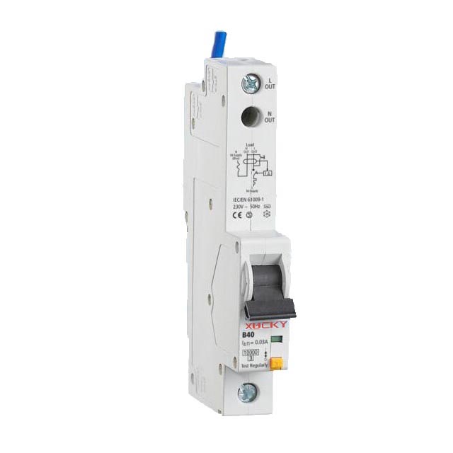 Dpn rcbo